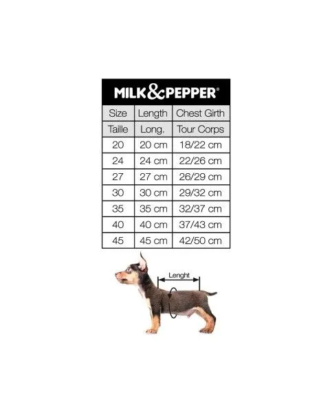 MILK AND PEPPER Wizzard Sweater