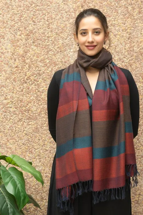 TICH Fine, Soft Himachal Wool Striped Stole - Brown